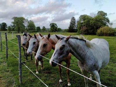 Manoir de l'Aisnerie