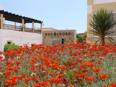 Novochoro Apartments