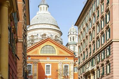 Carignano Design 7 - P IVA