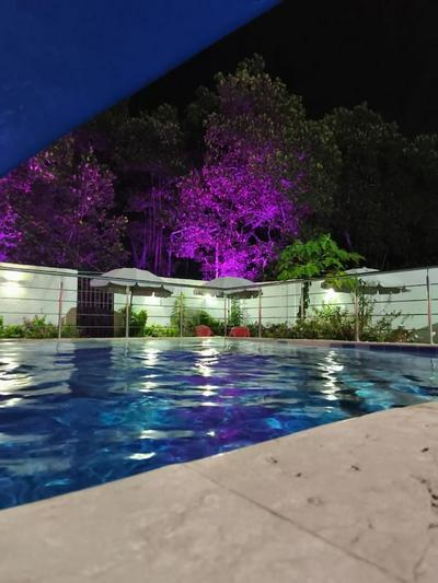 Hotel palmetto Beach