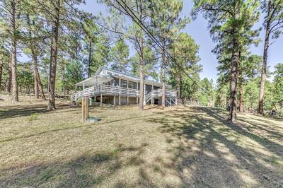 Rustic Alto Retreat - Near Hiking, Skiing & More!