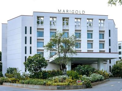Marigold by Greenpark