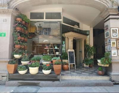 Hotel Casa de los Angeles