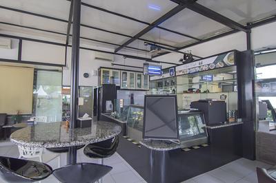 House of Arsonia Bougainvillea