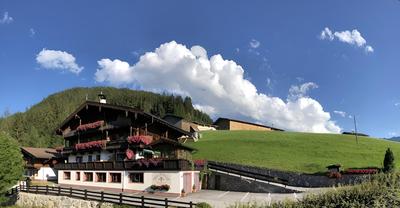 Alpbach Bergwald