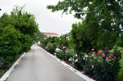 Olive Mansion Suites