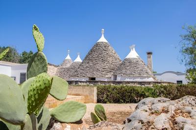 3598 Trullo Yoram by Perle di Puglia