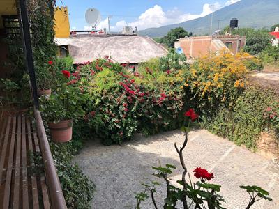 Hotel Hacienda El Ceboruco