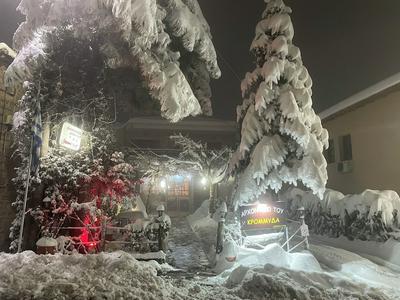 Arxontiko tou krommyda