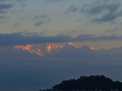 Aurora Darjeeling Grand