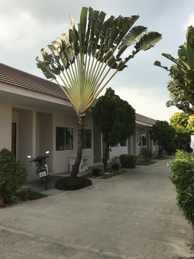 Bangrak Samui Beach Resort