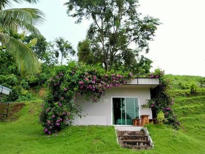 Chiangkhan River Green Hill
