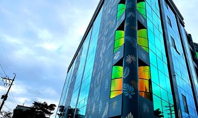 Sokcho Gallery In Stay