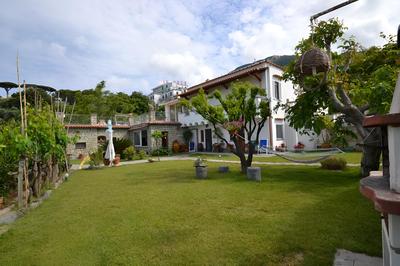 Casa Amena