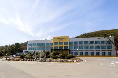 Pinebeach Hotel Pohang