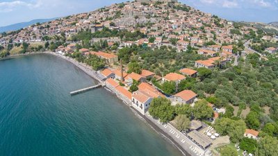 Olive Press Hotel & Apartments