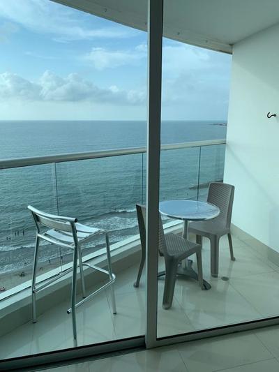 Palmetto Eliptic 1501