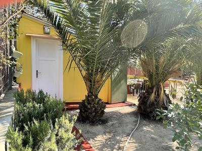 Oasis in Split Near the Center