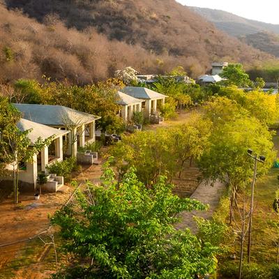 Sariska Jungle Camp