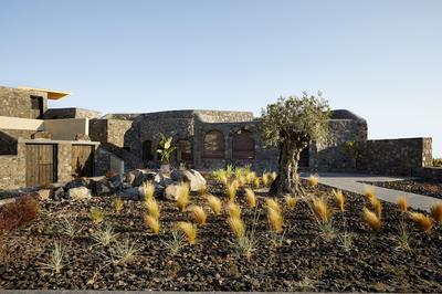 White Pearl Cavalieri - Adults Only