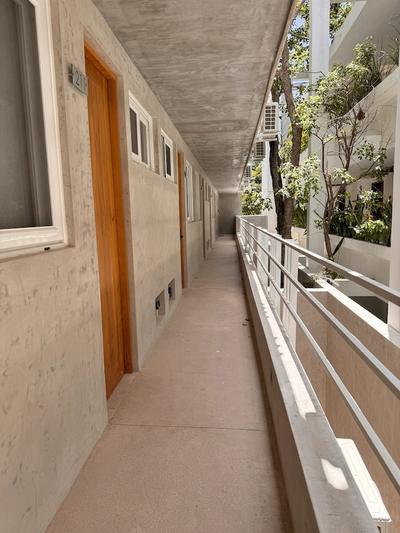 Jungle Chic Suites by Marea