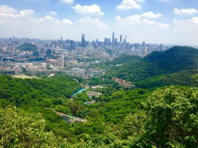 Lifu Hotel - Huang Pu Road Run Du