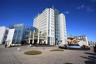 Wuhai Binhe Guoji Hotel