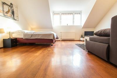 Apartment Davidgasse