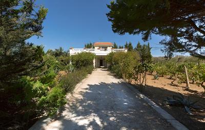 2090 La Terrazza del Salento