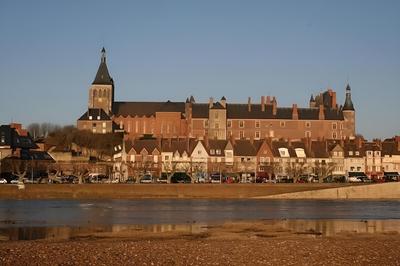 Brit Hotel Confort Gien