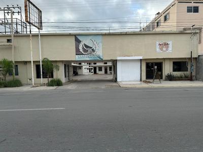 Yolotl Sleep Experience