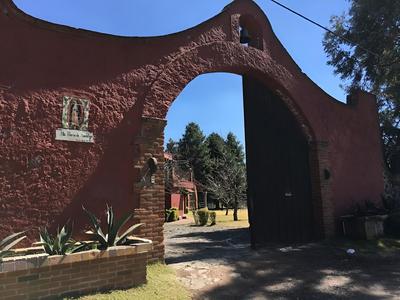 Rancho Guadalupe - In Mexico City (Tlalpan)