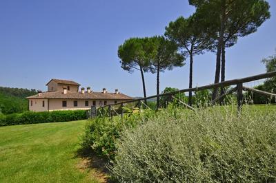 Francigena 6