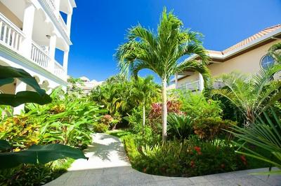 Lawson Rock Angelfish 202