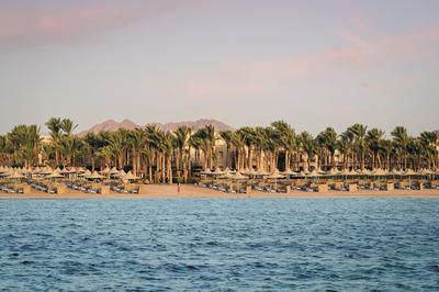 TUI MAGIC LIFE Redsina Sharm El Sheikh