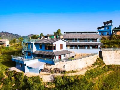 The Himalayan Deodar