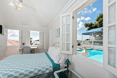 At Home in the Tropics