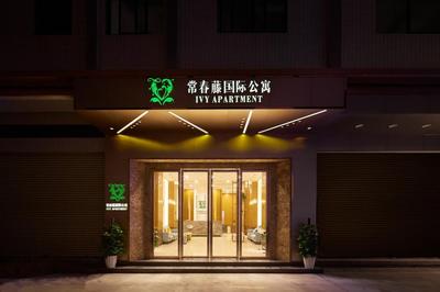 Ivy International Apartment