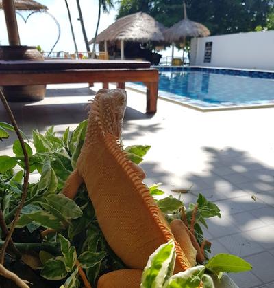 El pillax lanta resort