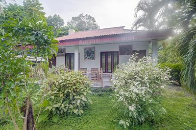 OYO 90988 Tangkoko Jungle Homestay