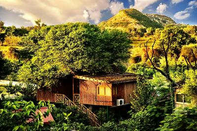 The Tree House Resort