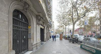 Alcam Classic Urgell