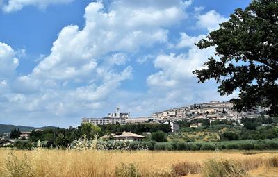 Le Rondini apt With Shared Pool