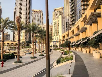 Cosmos Living - Dubai Creek Harbour