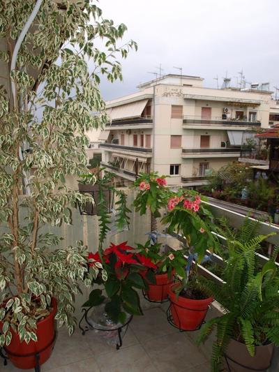 Electra Central Flat