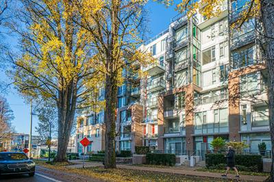 Lovely Oasis near Waterfront & Downtown