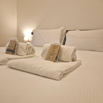 Charming Suite in Center Como
