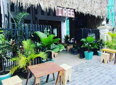 Tree Siem Reap Apartments