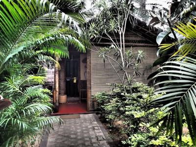 The Palm Trees Resort