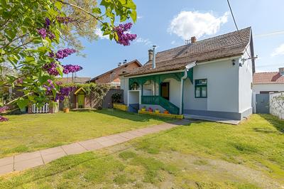Rural Homestead Trenkovo